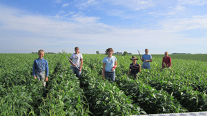 Ostry children ‘walking the beans’ at Wagon Wheel Farm in Bruno, NE.