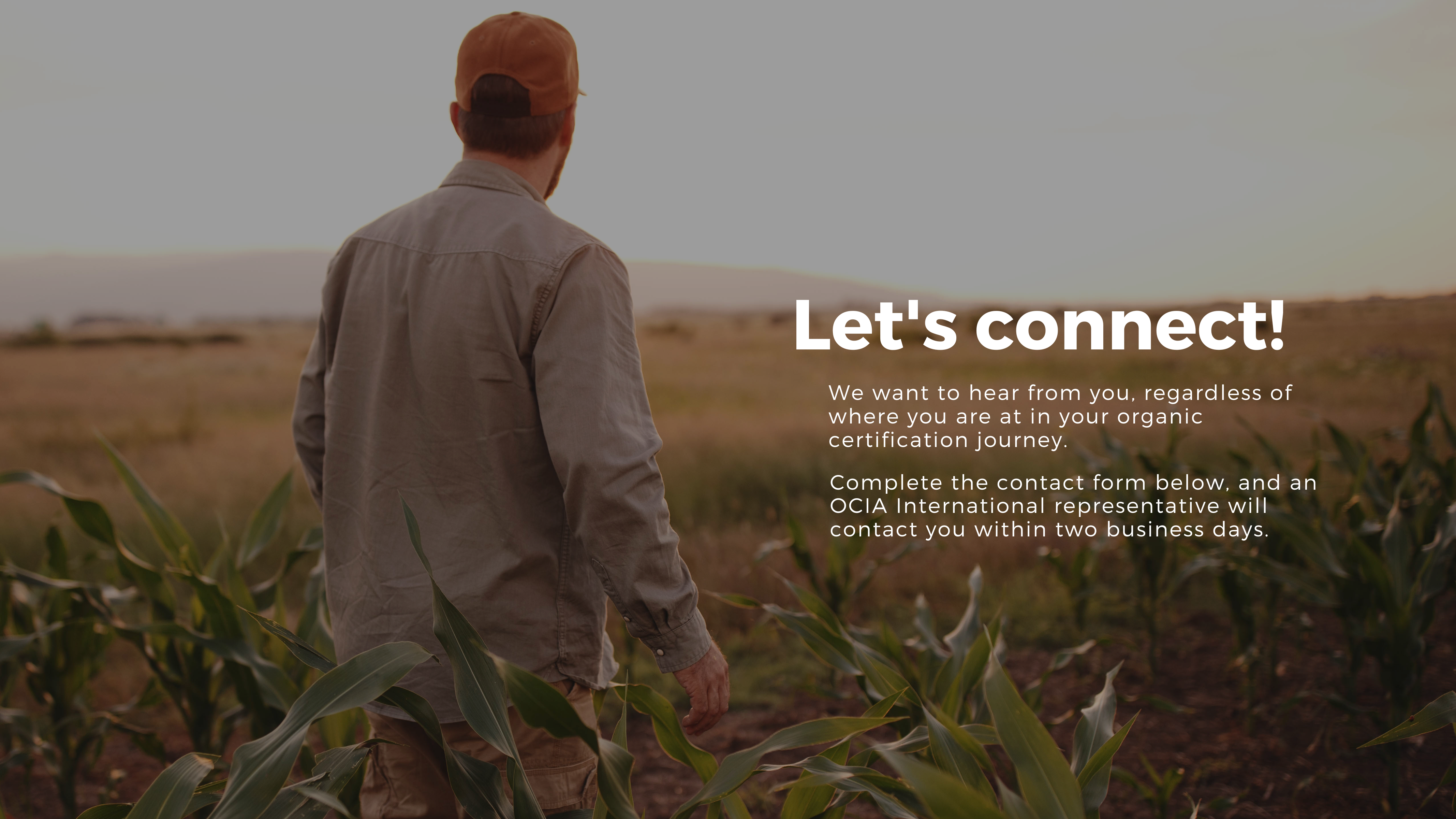 Man standing in field.