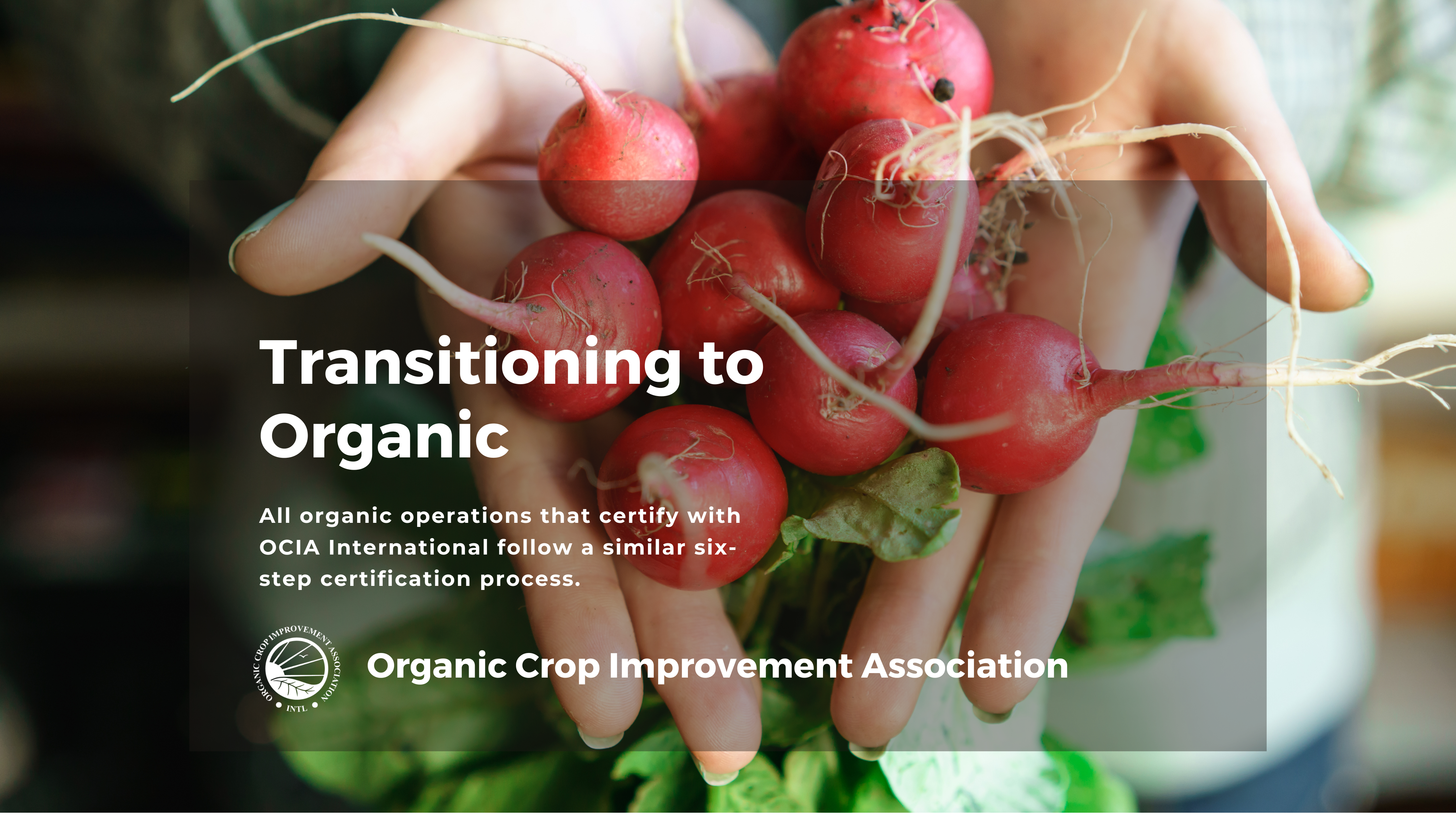 Transition to organic with OCIA International