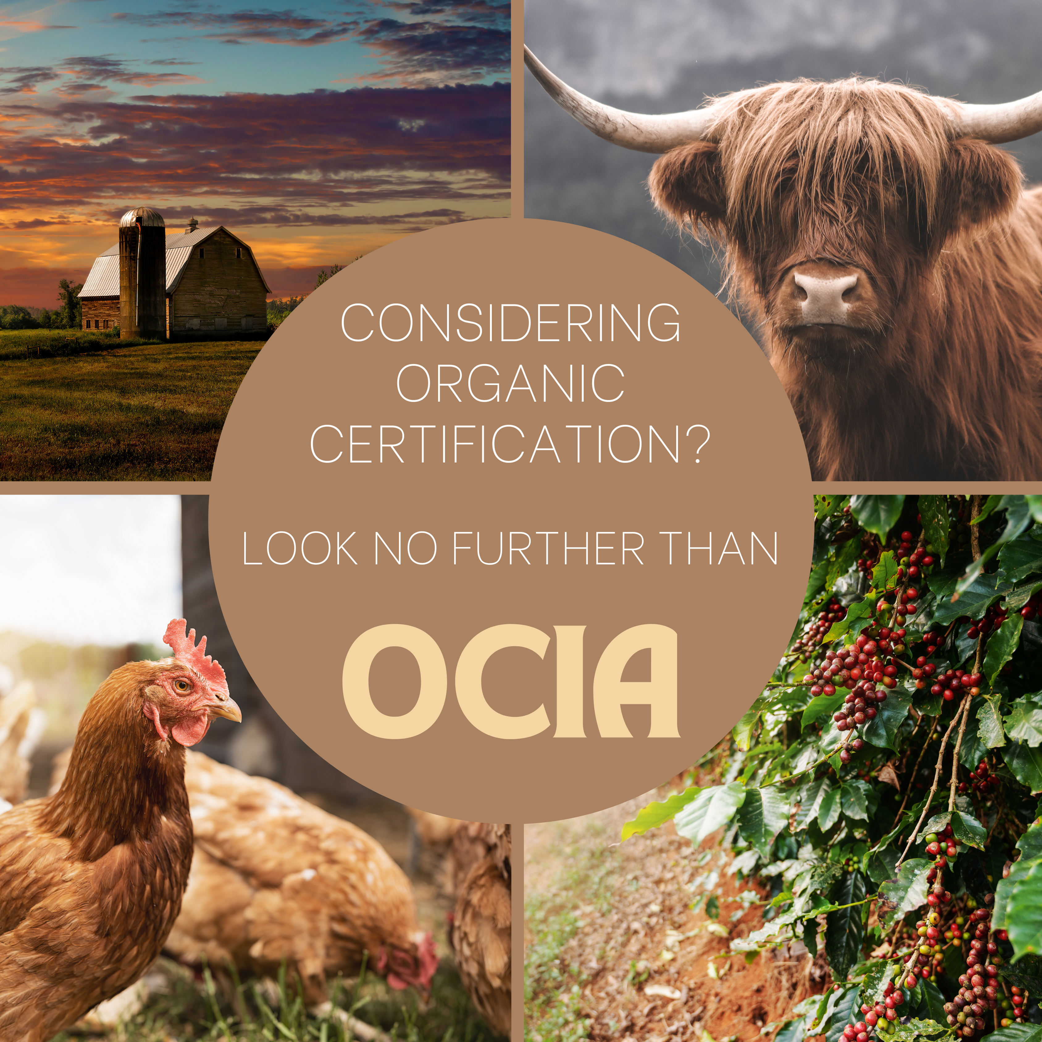 OCIA International: a leader in organic certification