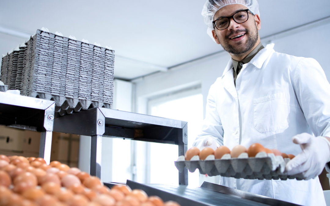 Organic eggs are packaged in an organic processing center.