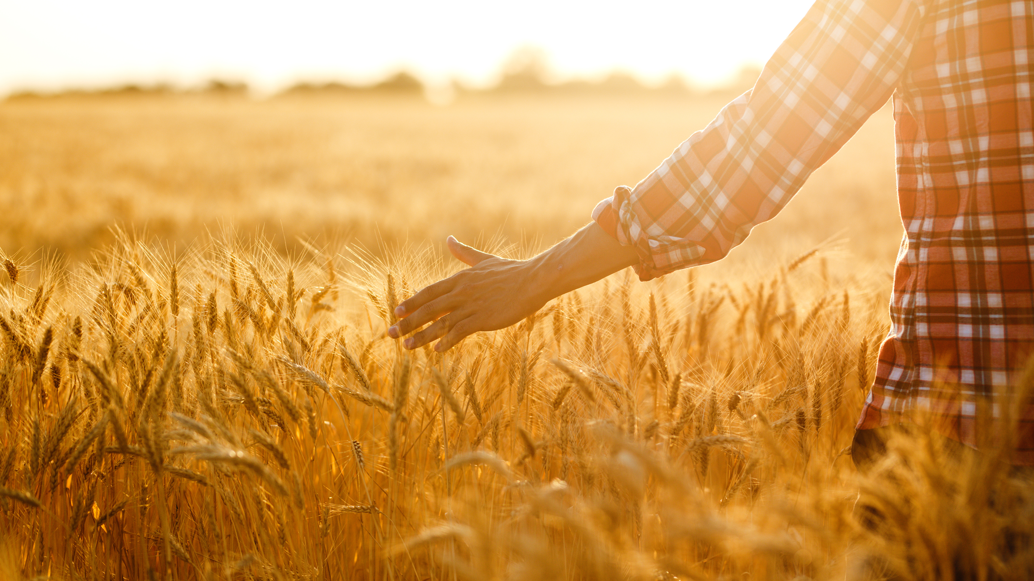 Person in field