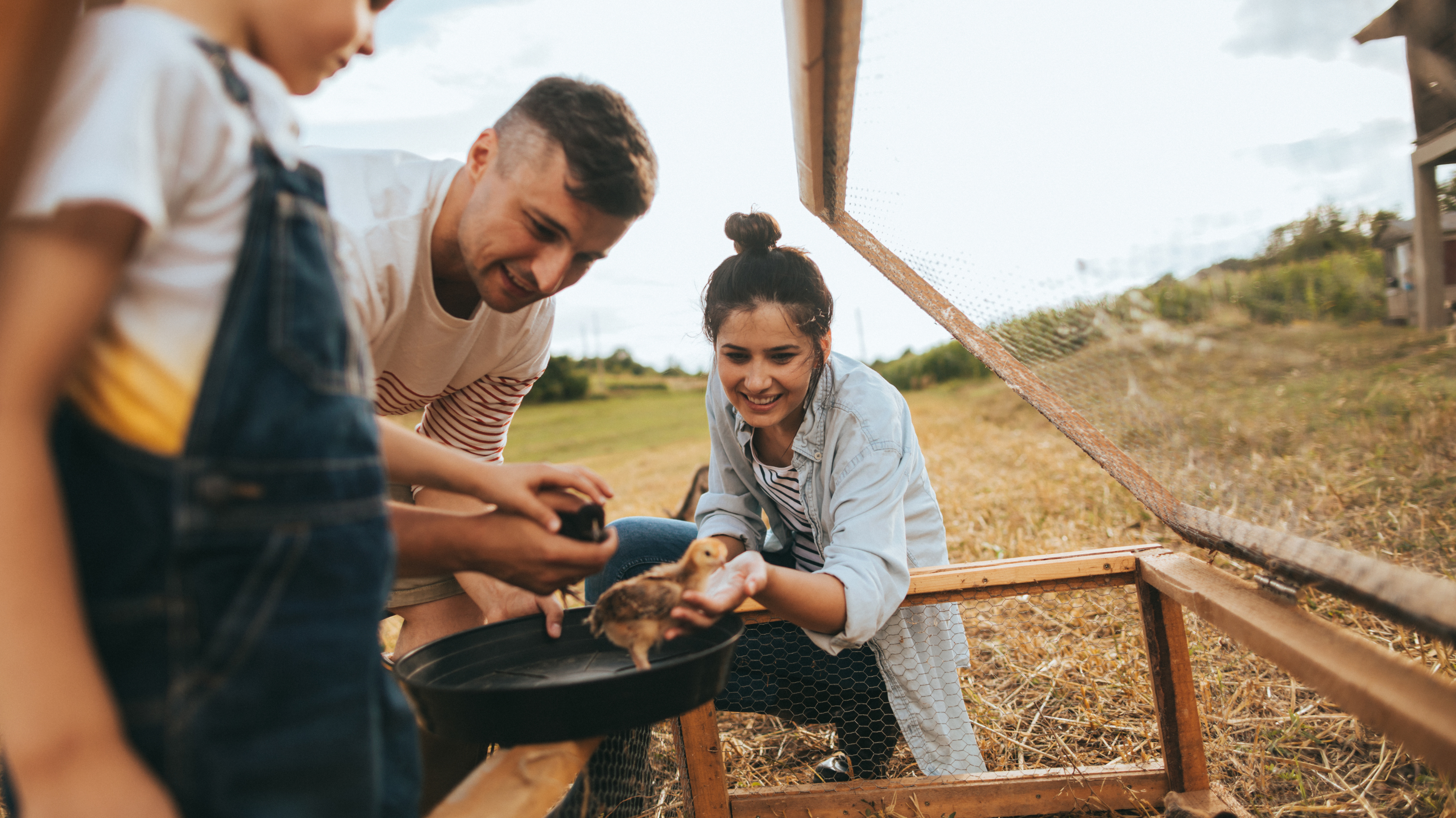 People work as a team on a farm.