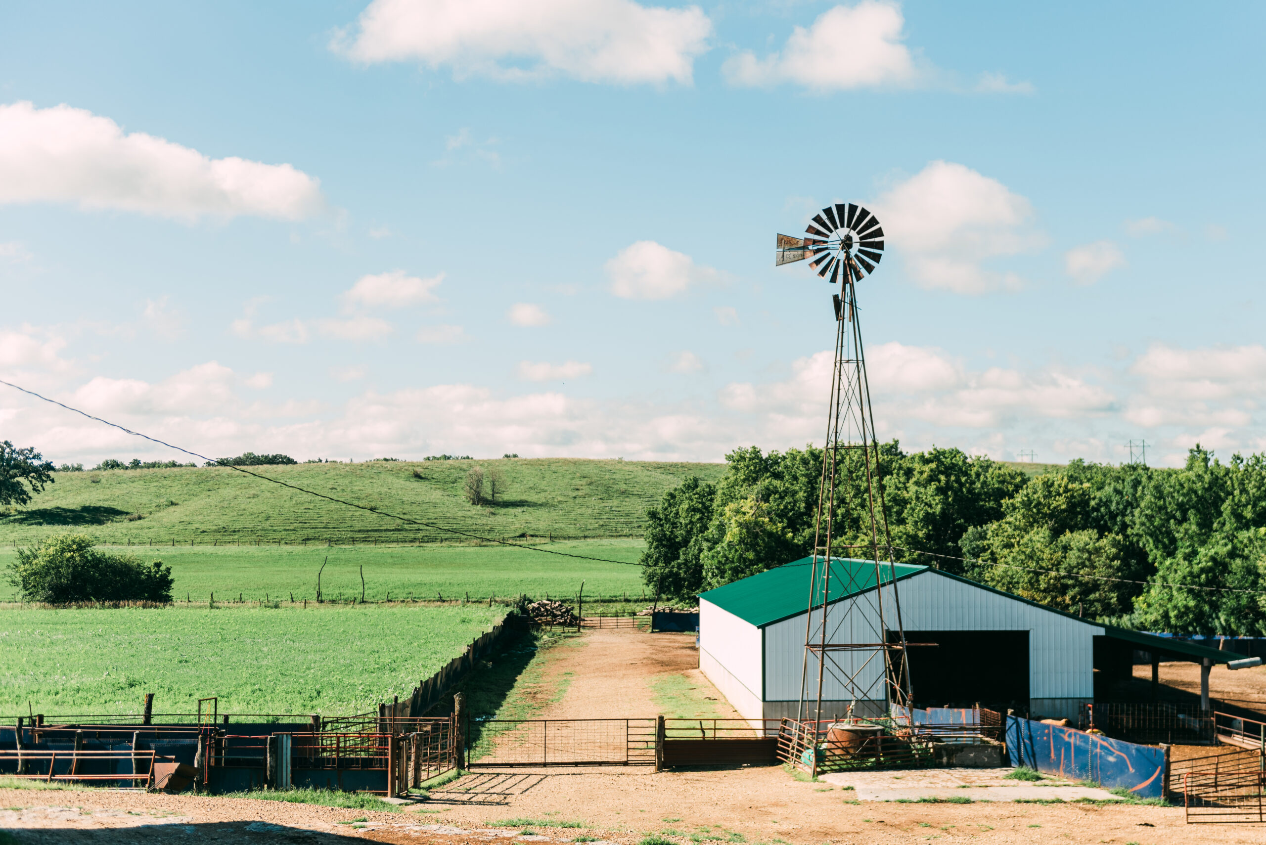 A view of the Edelman Certified Organic Farm. 