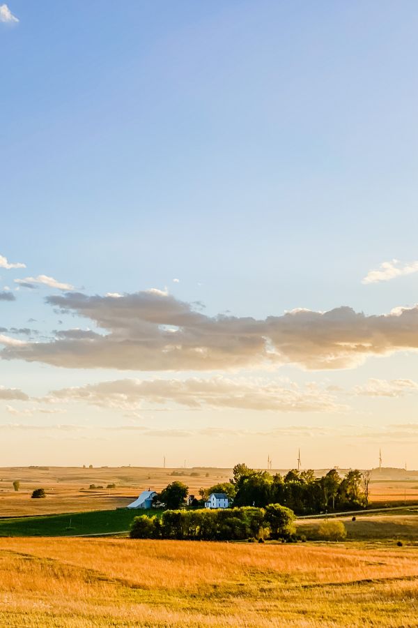 Fields and farm buildings