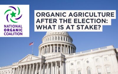 Organic Agriculture After the Election: What is at Stake?